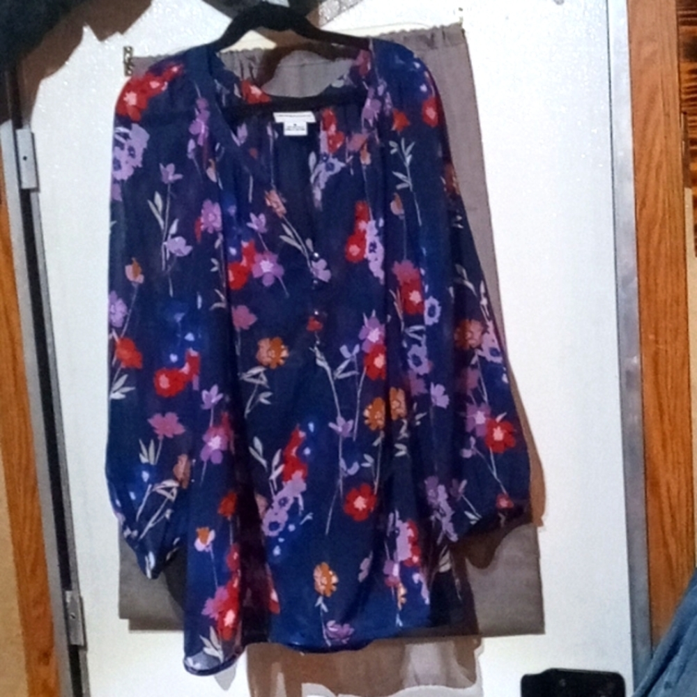 Long sleeve, shear, top